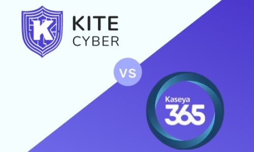 Kaseya 365 Alternative